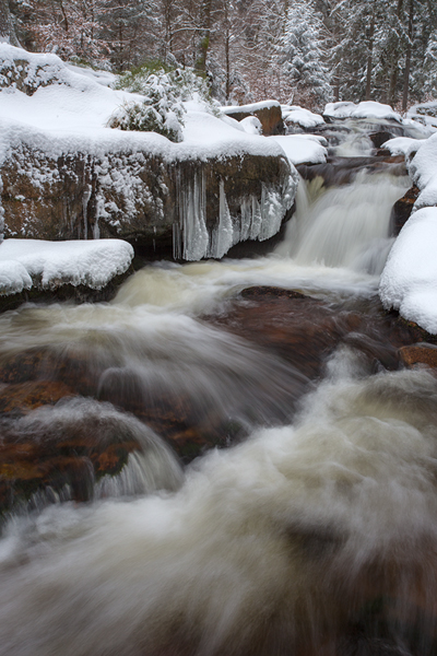 An der Warmen Boden im Harz