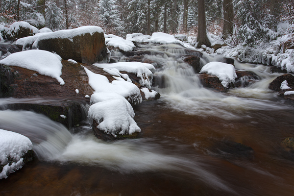 An der Warmen Boden im Harz