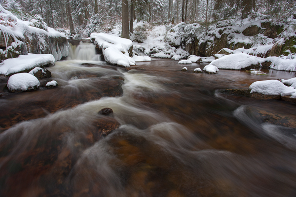 An der Warmen Boden im Harz