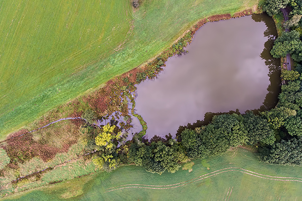 Herbst am Biberteich aus der Vogelperspektive