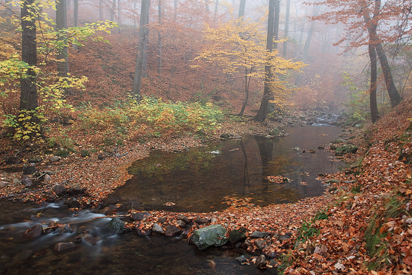 Harz Ilsetal Ilse Naturpark Harz Ilsenburg Herbst