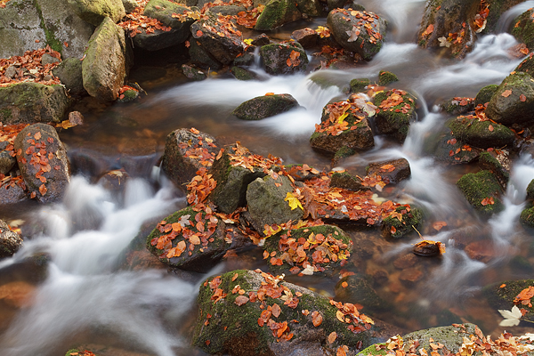 Harz Ilsetal Ilse Naturpark Harz Ilsenburg Herbst
