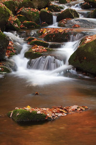 Harz Ilsetal Ilse Naturpark Harz Ilsenburg Herbst