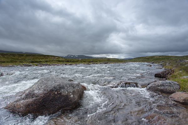 Norwegen, Dovrefjell