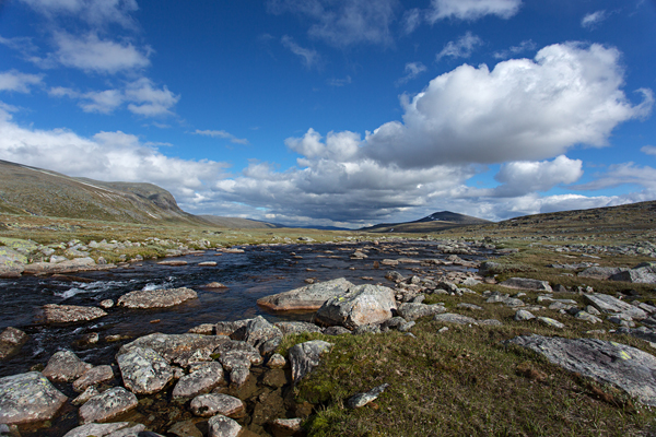Norwegen, Dovrefjell