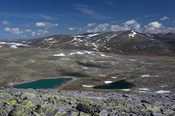 Norwegen, Dovrefjell
