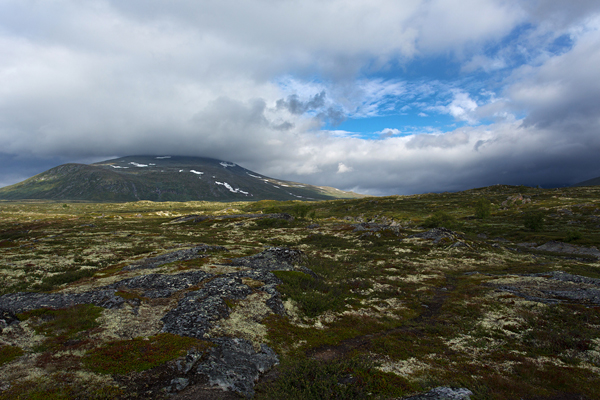 Norwegen, Dovrefjell