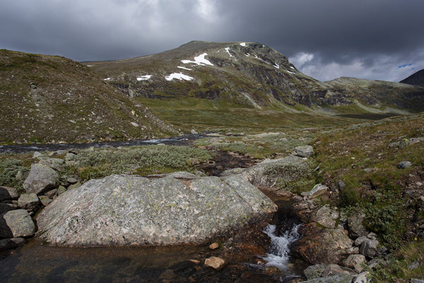 Norwegen, Dovrefjell