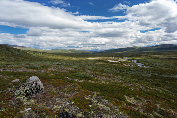 Norwegen, Dovrefjell