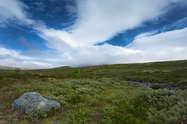 Norwegen, Dovrefjell