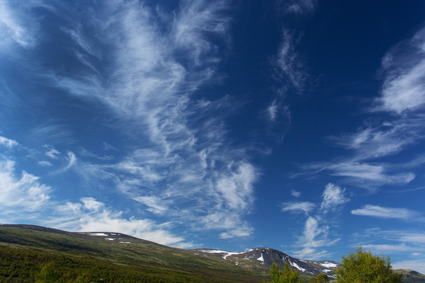 Norwegen, Dovrefjell