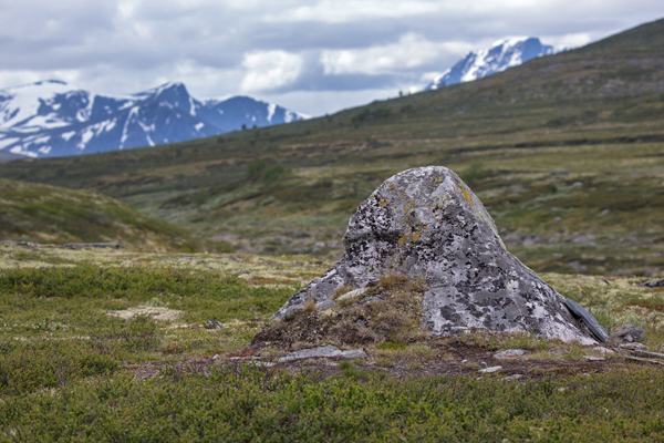 Norwegen, Dovrefjell