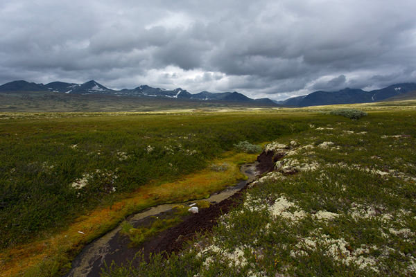 Norwegen, Rondane