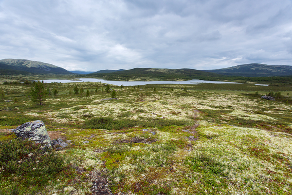 Rondane - Dovrefjell