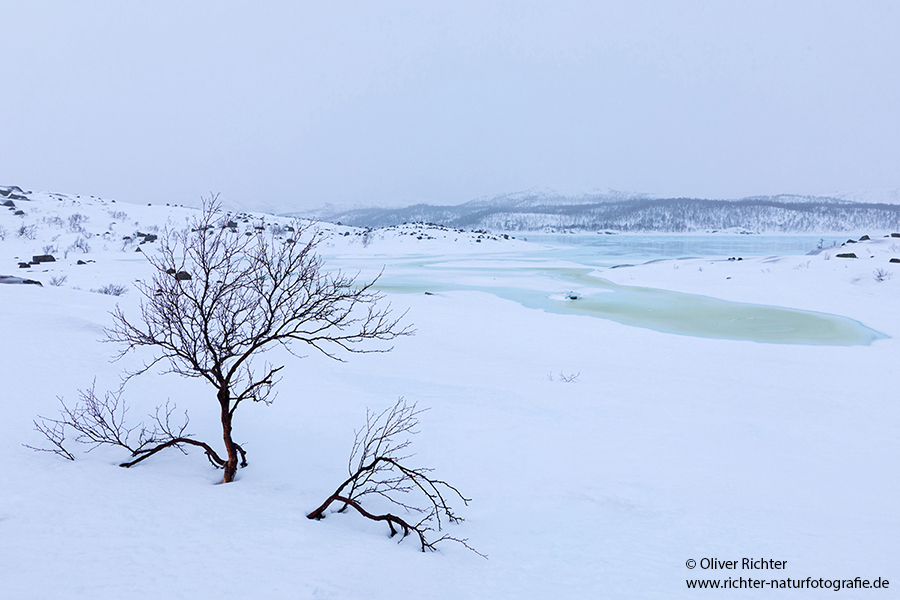 Unterwegs im Norden Norwegens