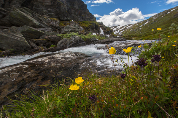 Norwegen