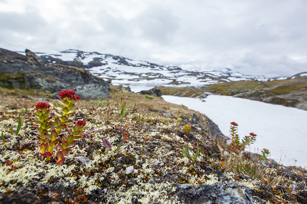 Norwegen