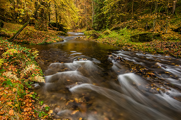 Unterwegs im Polenztal, Saechsische Schweiz 