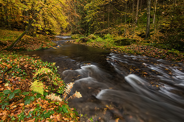 Unterwegs im Polenztal, Saechsische Schweiz 