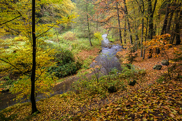 Unterwegs im Polenztal, Saechsische Schweiz 