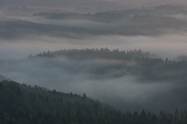 Blick ins Kirnitzschtal - Saechsische Schweiz