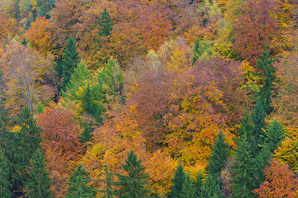 Unterwegs im Polenztal, Saechsische Schweiz 
