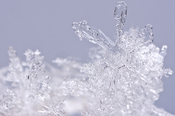 Schneekristalle