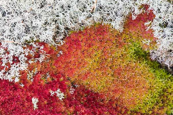 Unterwegs in Schweden
