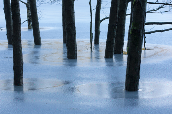 Stausee bei Koenigshuette - Harz