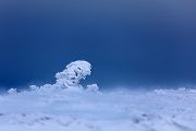 Riesengebirge Schnee Kristalle Baum Bäume