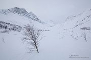 Unterwegs in Nord-Norwegen