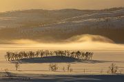 Unterwegs in Nord-Norwegen