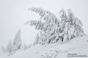 Riesengebirge Schnee Kristalle Baum Bäume