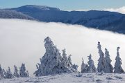 Riesengebirge Schnee Kristalle Baum Bäume