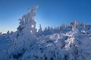 Riesengebirge Schnee Kristalle Baum Bäume