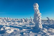 Riesengebirge Schnee Kristalle Baum Bäume