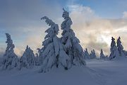 Winter auf dem Brocken