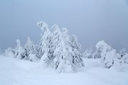 Winter auf dem Brocken