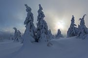 Winter auf dem Brocken