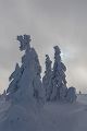 Winter auf dem Brocken