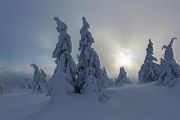 Winter auf dem Brocken