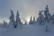 Winter auf dem Brocken