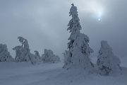 Winter auf dem Brocken