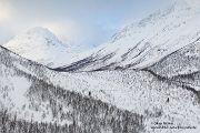 Unterwegs in Nord-Norwegen