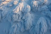 Riesengebirge Schnee Kristalle Baum Bäume