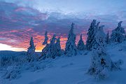 Riesengebirge Schnee Kristalle Baum Bäume