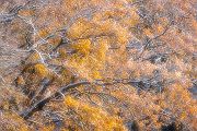 Herbstimpressionen