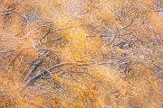 Herbstimpressionen