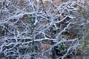 Herbstimpressionen