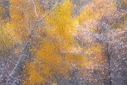 Herbstimpressionen
